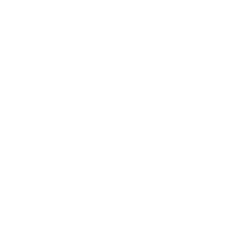 Link to Github Repo